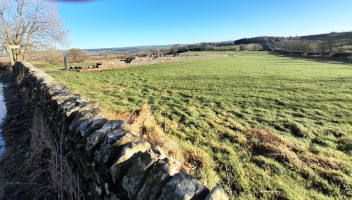 Hadrian's Wall